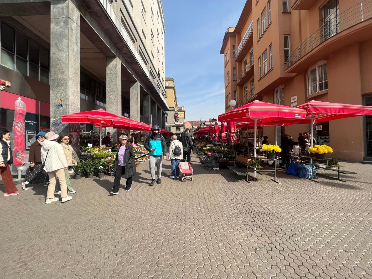Studio Apartman Luka Záhřeb Exteriér fotografie